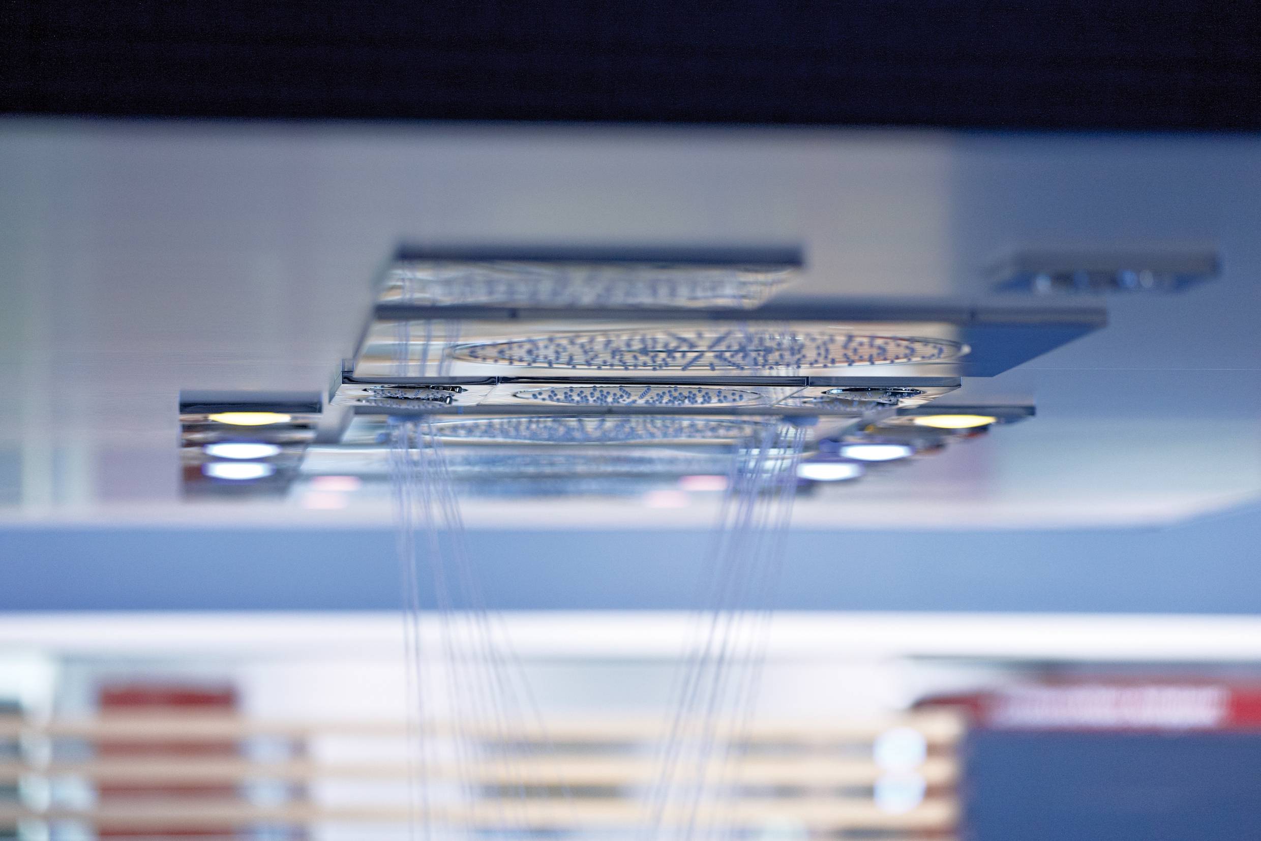 Верхний душ со встроенным источником света для систем GROHE F-digital deluxe, хром (27865000) - Вид №1