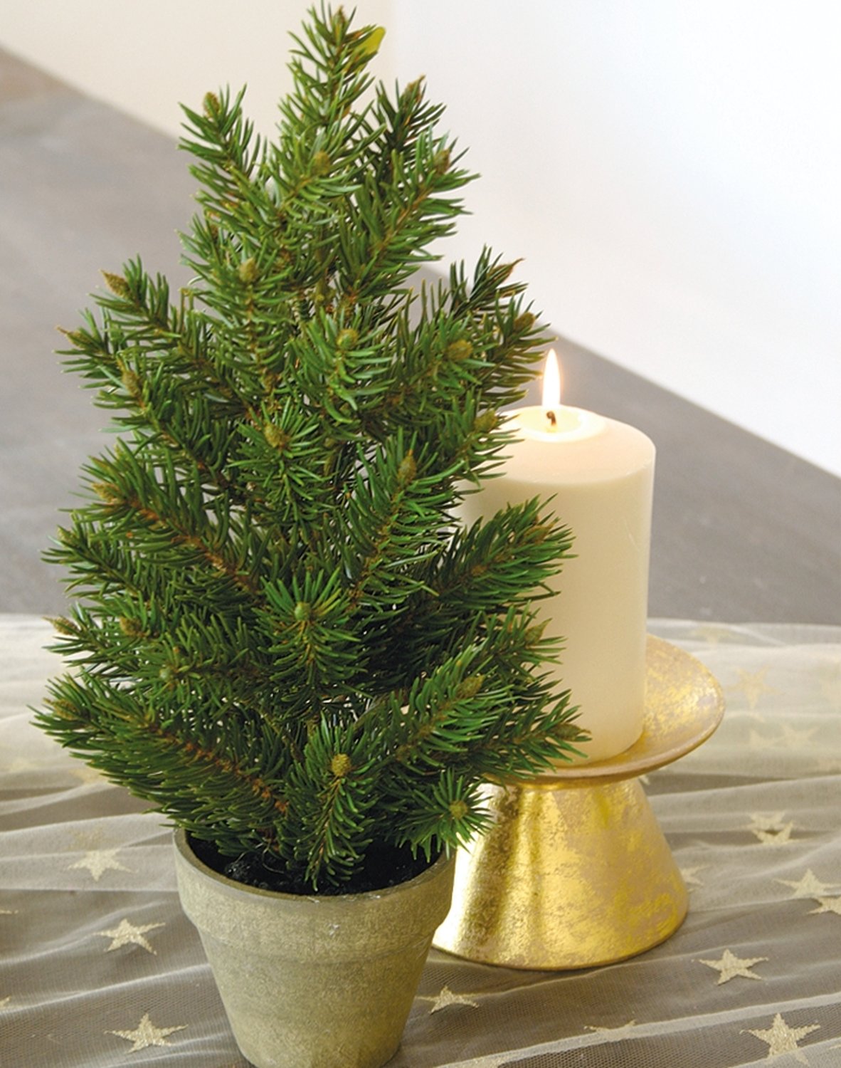 1783 883 a3 Искусственная ель ситкинская, горшечная, 40 см, зеленая H-andreas 