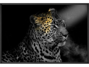 Печать фотографий на бумаге