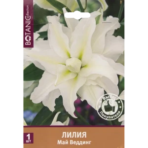 Лилия восточная махровая «Май Веддинг» 82539366 STLM-2130768