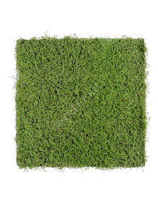 20.0818108L Мох рясковый (полотно большое) квадрат Цветочная коллекция