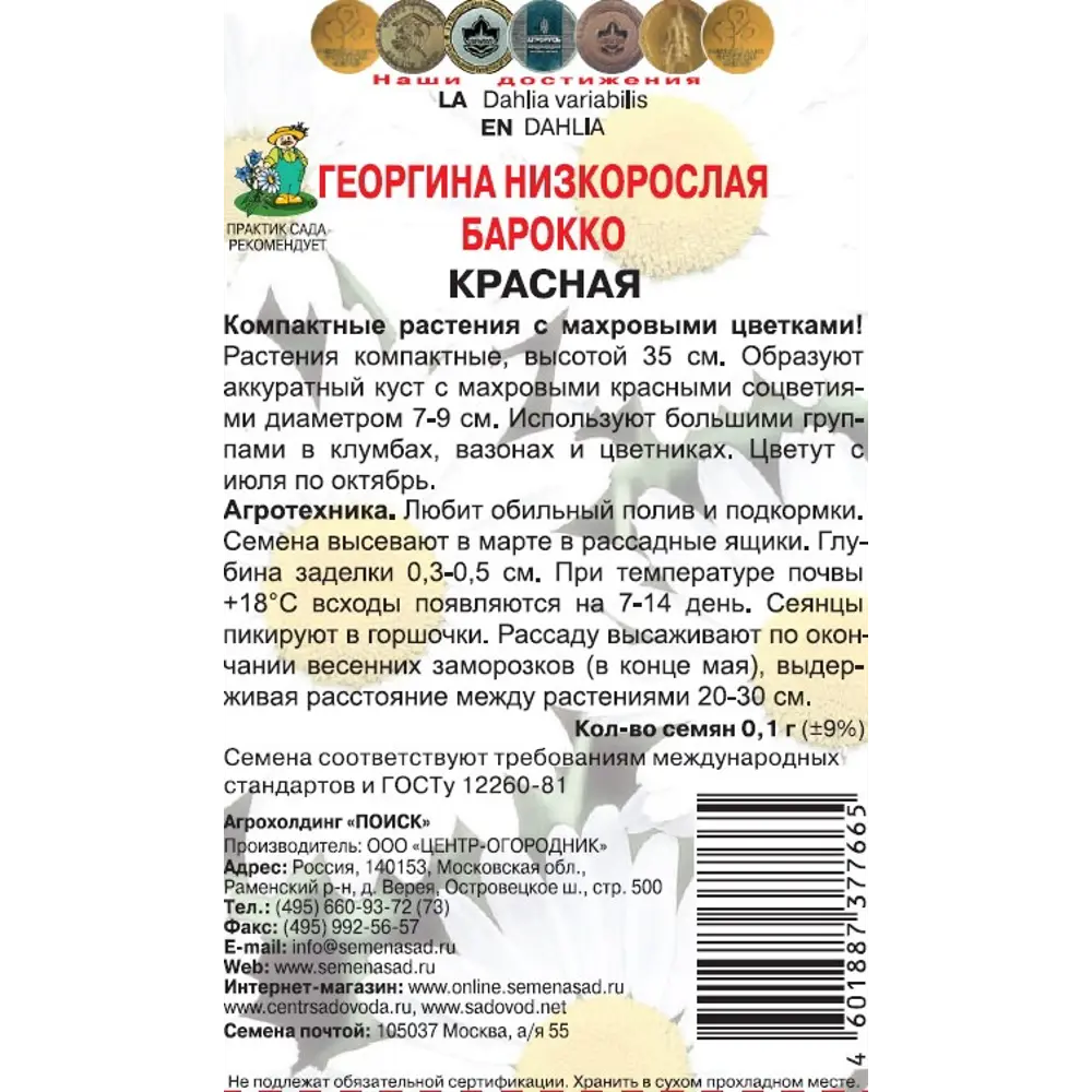 Георгина Барокко красная ПОИСК - компактные махровые соцветия 89402961 STLM-1577809 - Вид №1