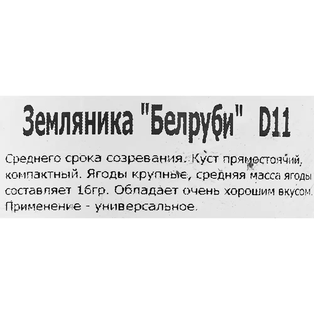 Земляника ремонтантная Белруби 11x15 см 83597598 STLM-2143875 Santreyd  - Вид №1