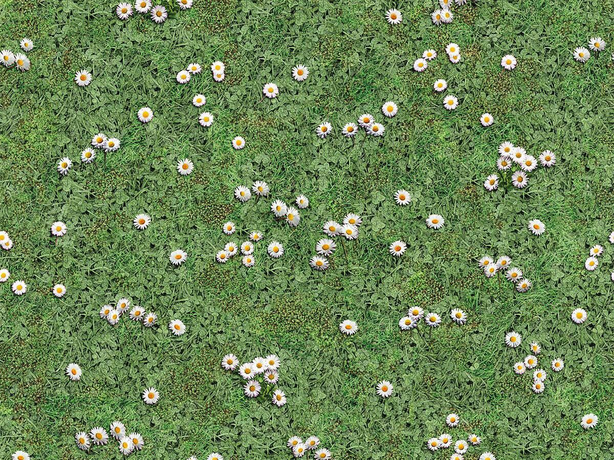 Нескользящий виниловый пол BEAUFLOR Moonlight ARCH-00065317 - Вид №1