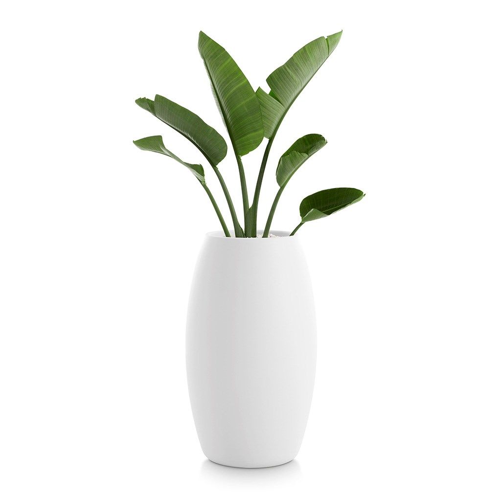 Высокий садовый горшок Diabla ARCH-00141162 - Вид №1