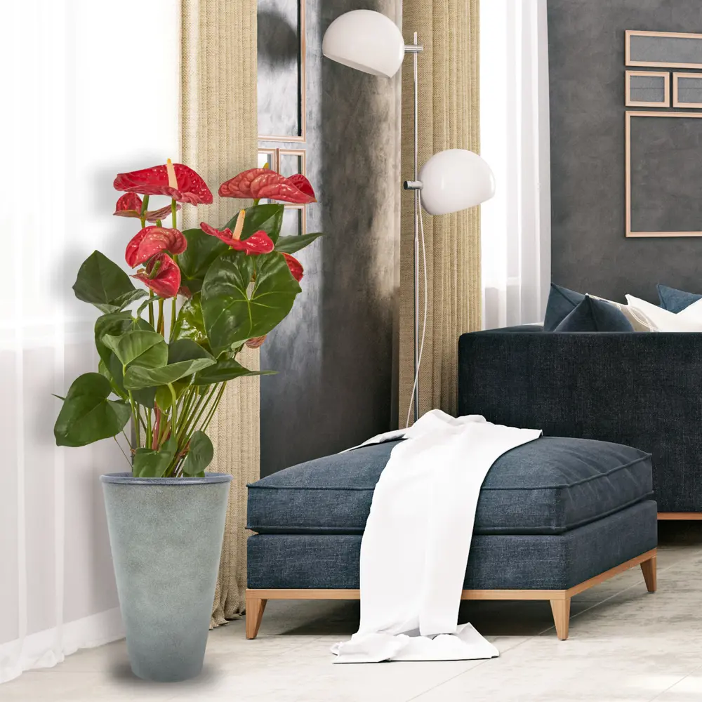 ТЕК.А.ТЕК Горшок «Коне» с системой автополива, серый 15628757 STLM-0006177 - Вид №5