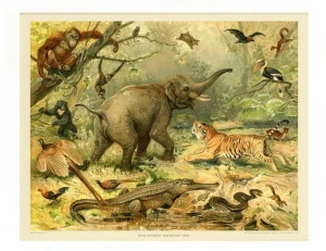 Groovy Magnets Магнитный плакат Animal Pos-ff