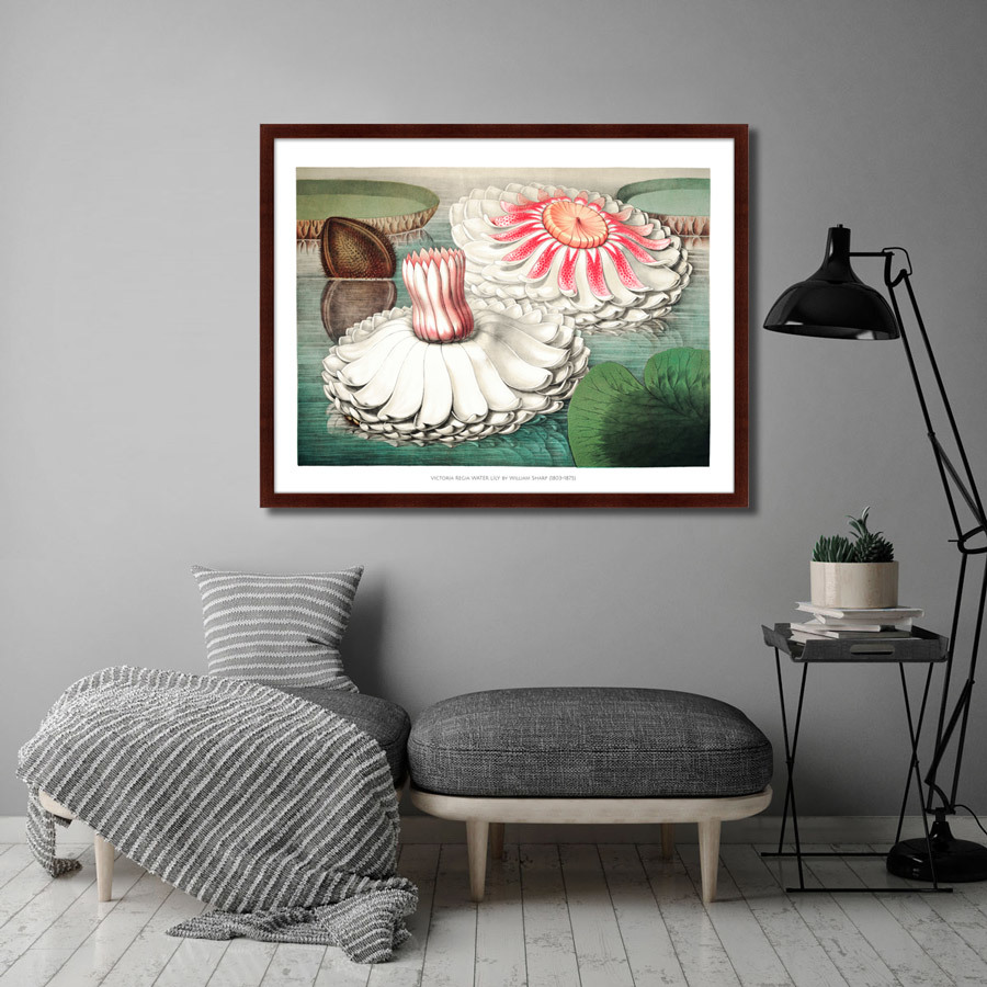 Картина в раме 78,5х100 см Water lily during bloom, 1870г. КАРТИНЫ В КВАРТИРУ  264208 Зеленый;коричневый;розовый;разноцветный  - Вид №2