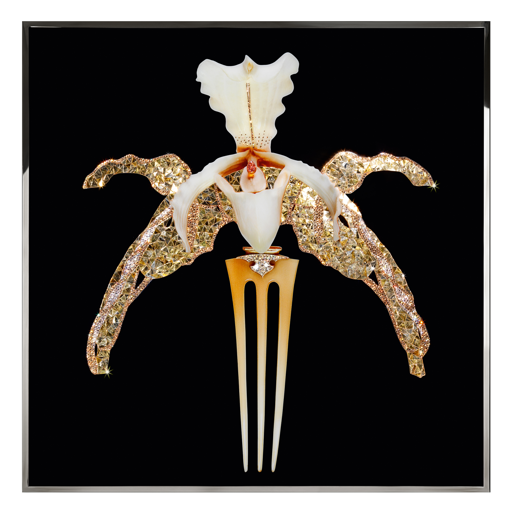 Orchidea Lalique Смешанная техника Visionnaire  - Вид №1