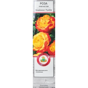 Роза плетистая Клайминг Румба h100 см 86543286 STLM-2120621