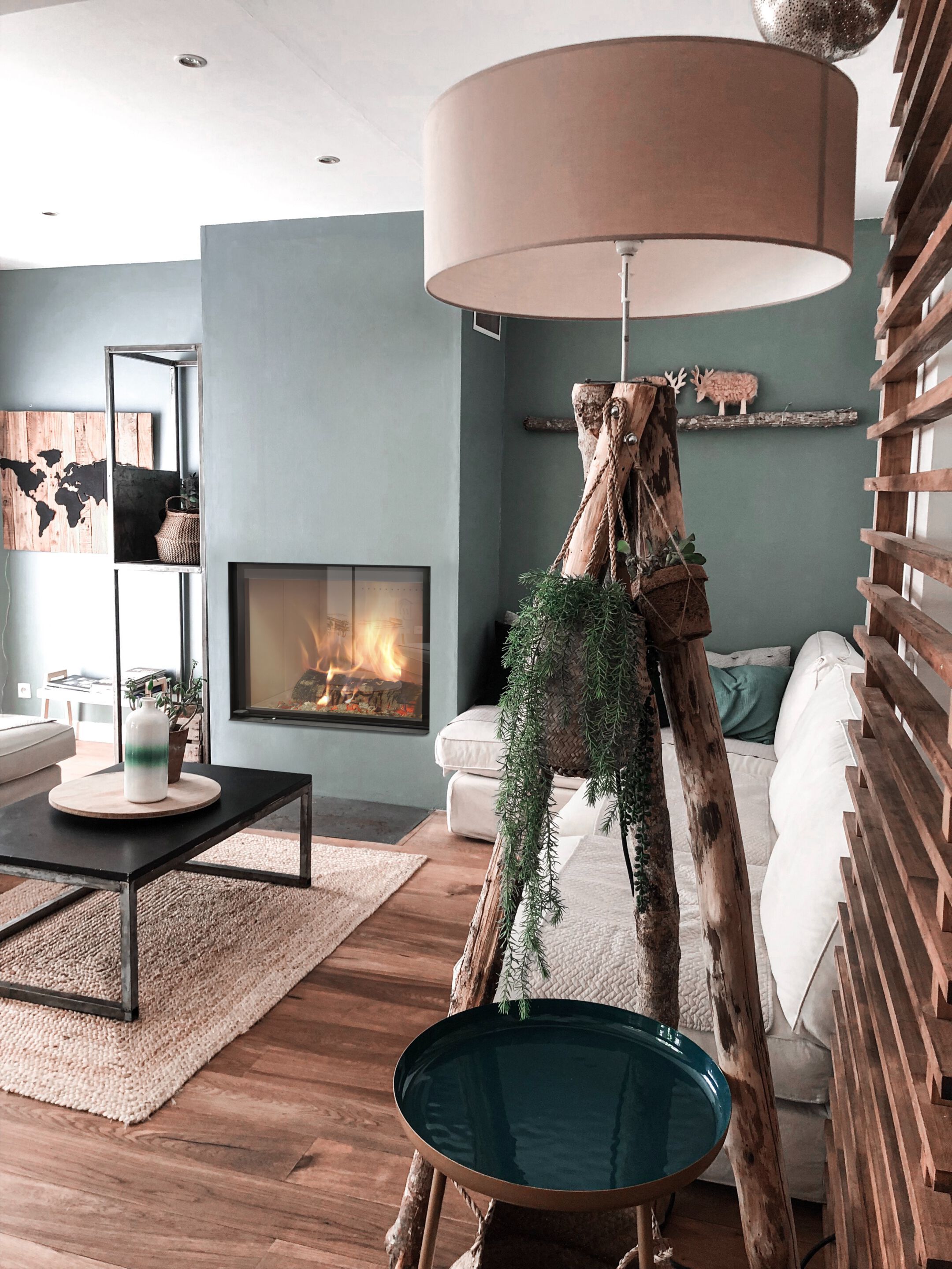 Дровяной камин класса а+ Jolly Mec водяные системы ARCH-00059169 - Вид №1