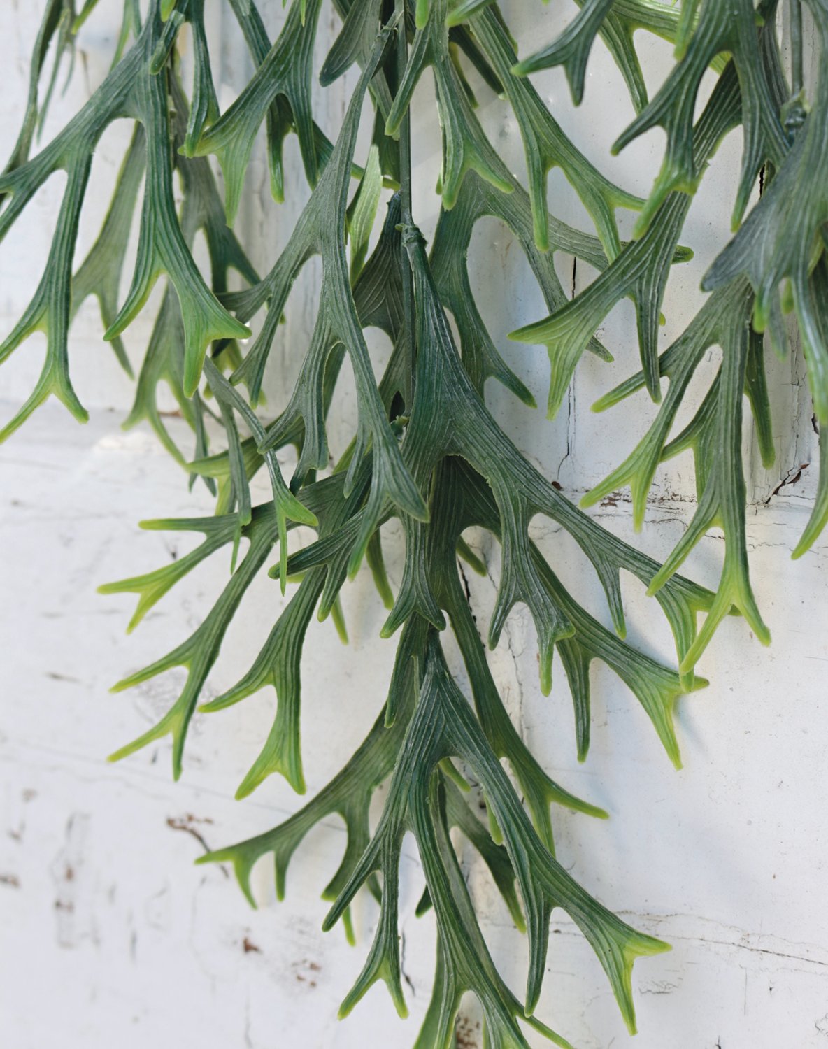 6128 809 a3 Вешалка для папоротника из искусственного рога, 74 см, зелено-серая H-andreas 