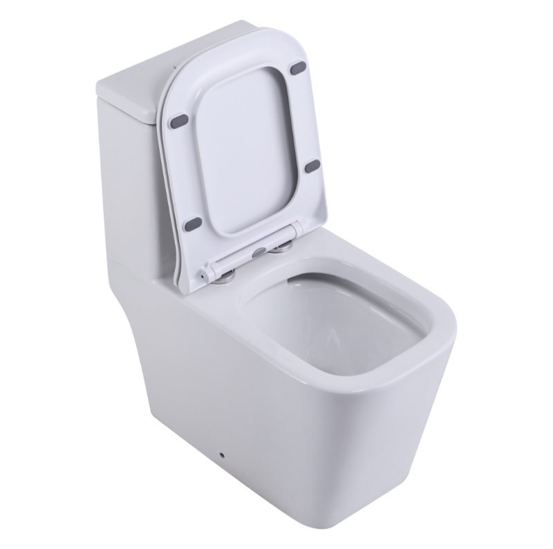 Унитазы-компакт SL-5024 SANTILINE  - Вид №3