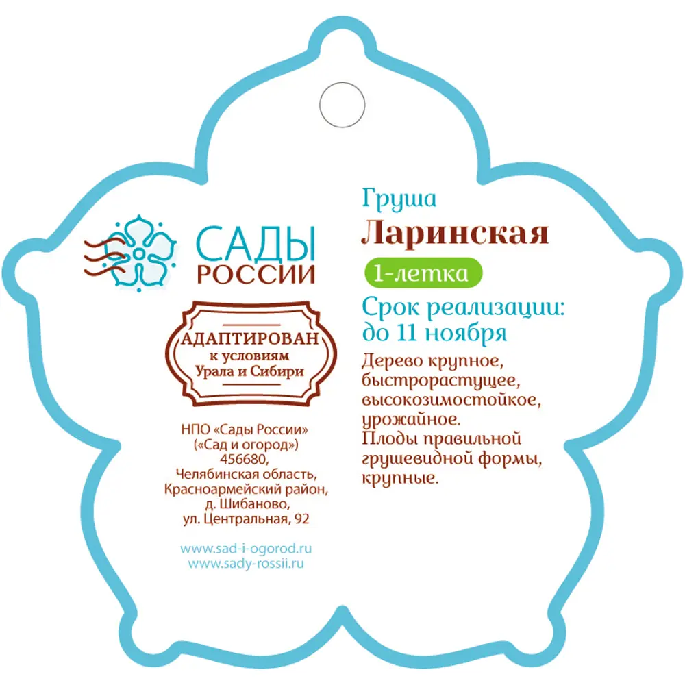 Груша «Ларинская» 1 год 12.5x30-50 см 82610424 STLM-2031579 Santreyd  - Вид №1