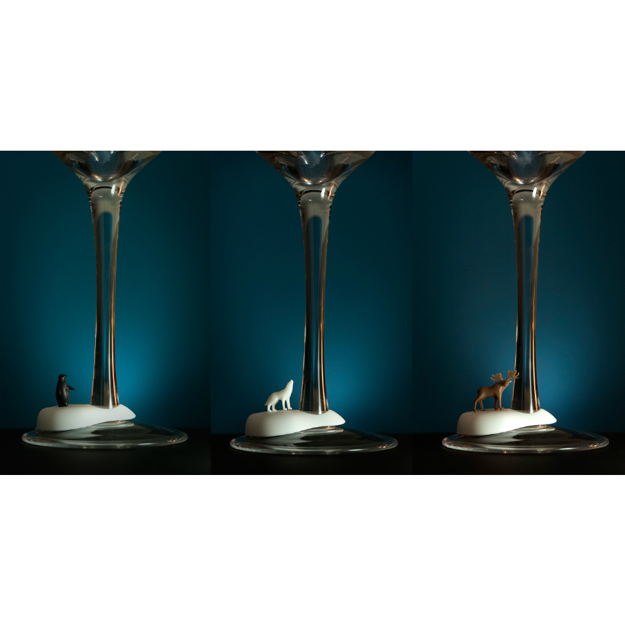 QL10191-MX Маркеры для бокалов cool wine Qualy  - Вид №1