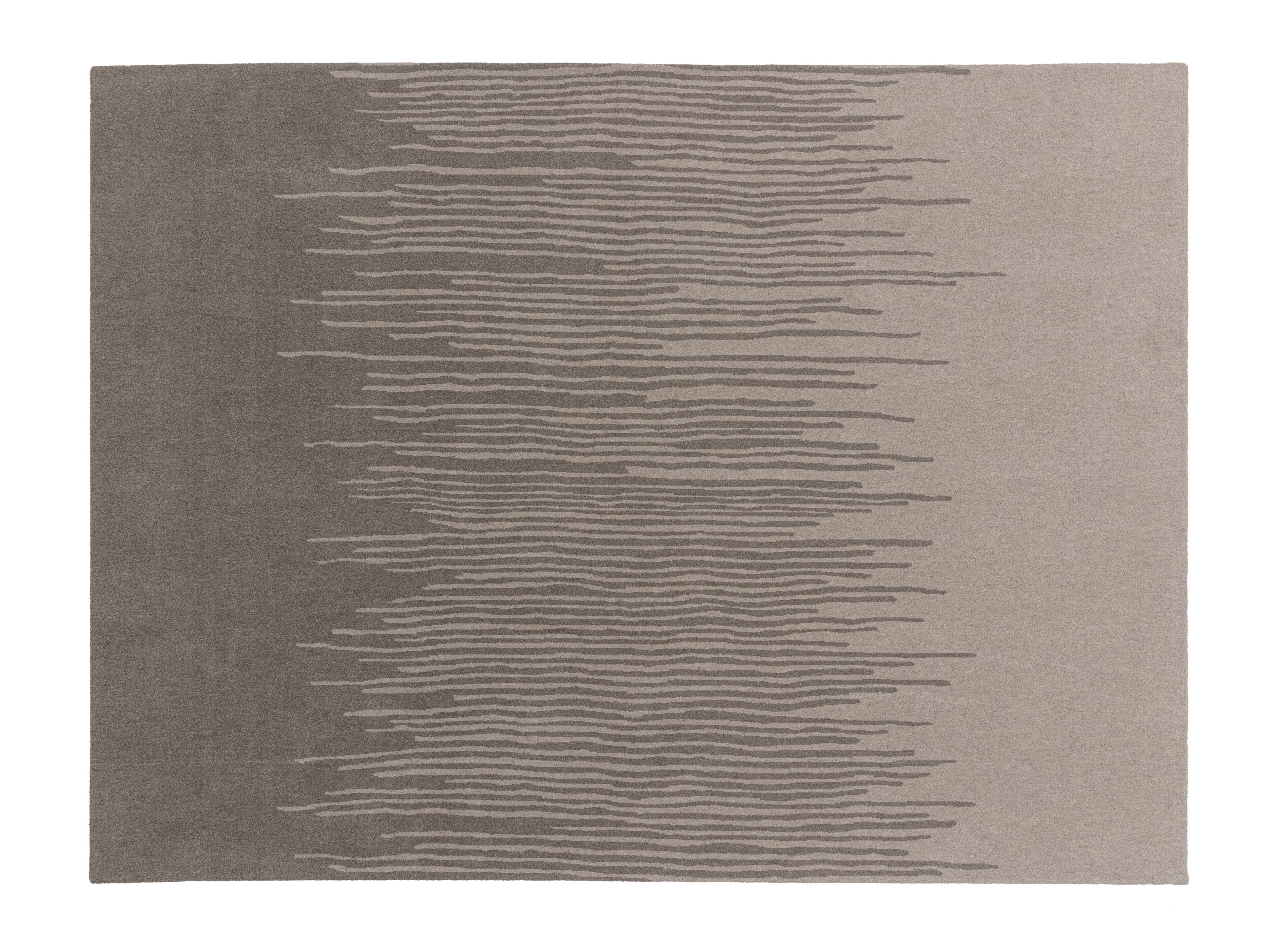 Прямоугольный шерстяной ковер Ditre Italia REED ARCH-00085052 - Вид №1