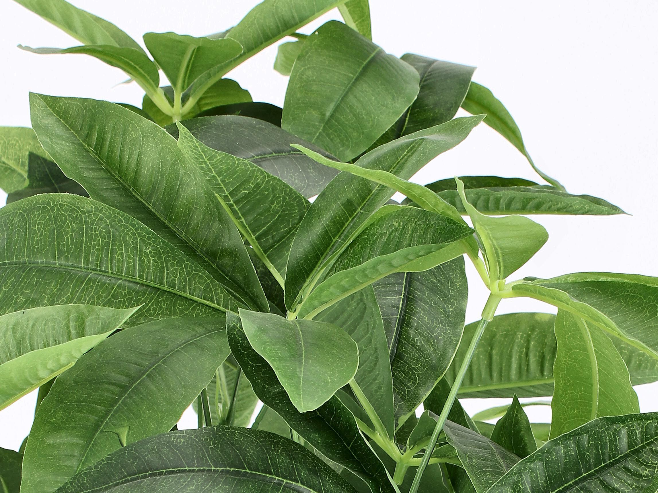 Искусственное растение BIZZOTTO PACHIRA AQUATICA H160 ARCH-00012897 - Вид №1