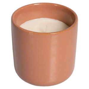 Ароматическая свеча Santreyd Бальзам и кедр 9 см 89378038