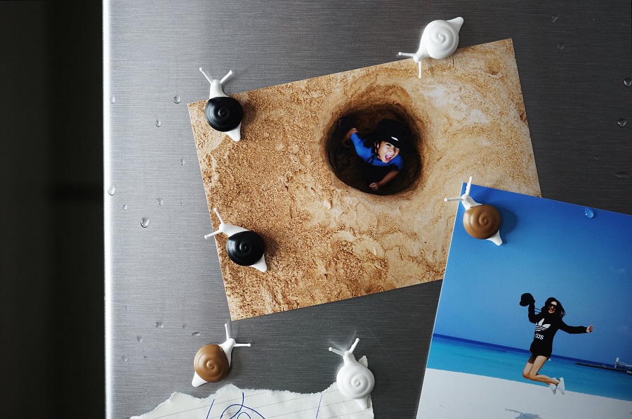 Магниты Snail, 6 шт Qualy QL10289MX - Вид №4