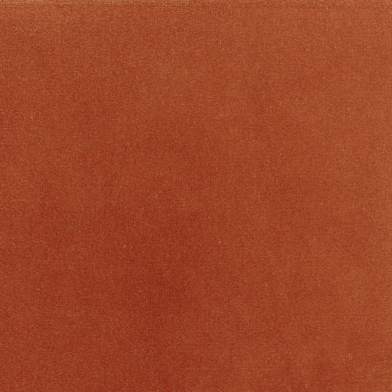 Бархатная однотонная ткань Élitis Palatine ARCH-00143253 - Вид №53