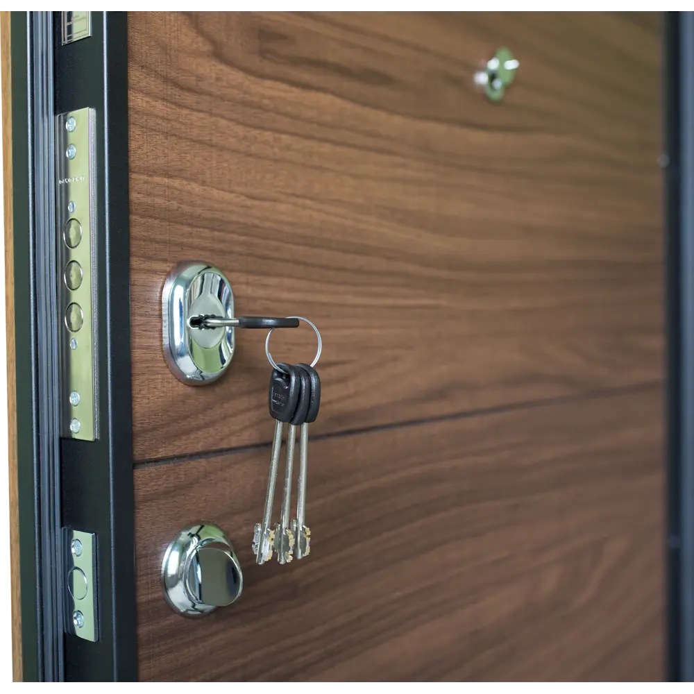 Дверь входная металлическая Модерн, 860 мм, правая BELWOODDOORS STLM-2029739 - Вид №2