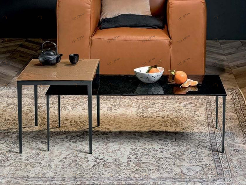 Tonin Casa Прямоугольный стеклянный журнальный столик  T6216 