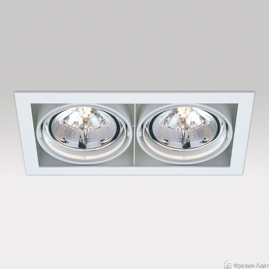 Delta Light 202 65 00 02 ANO GRID IN LIMIT ZB 2 QR потолочный светильник 97163