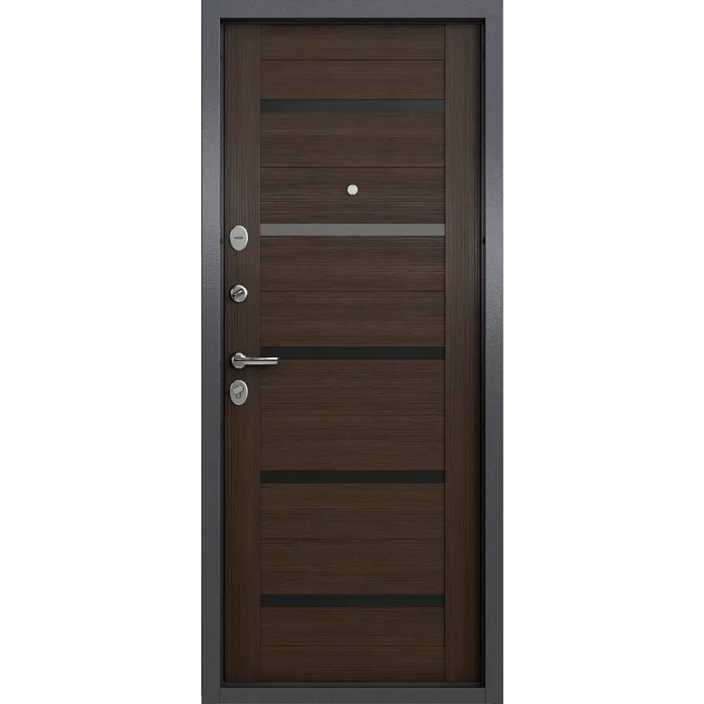 TOREX Клауд Вижн - металлическая входная дверь с защитой и стилем 89392524 STLM-1367475 - Вид №2