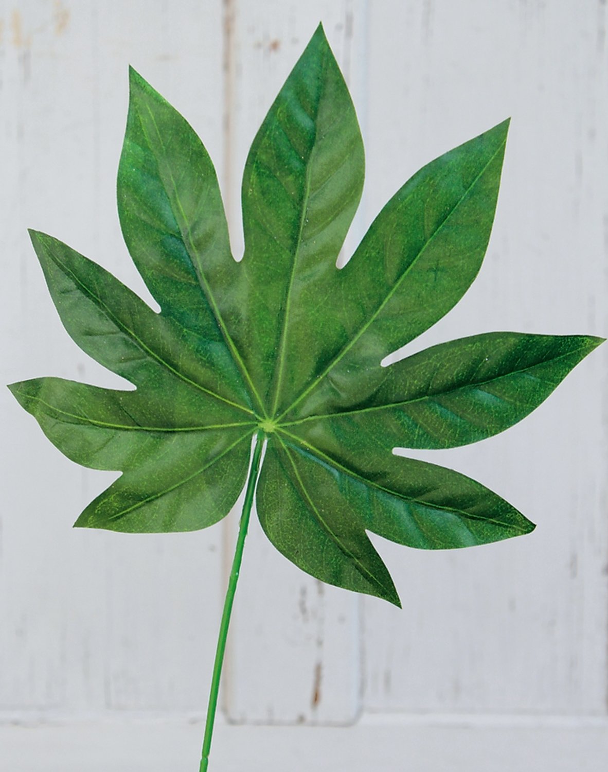 5018 883 a1 Лист искусственной аралии, 50 см, Ø 26 см, зеленый H-andreas  - Вид №3