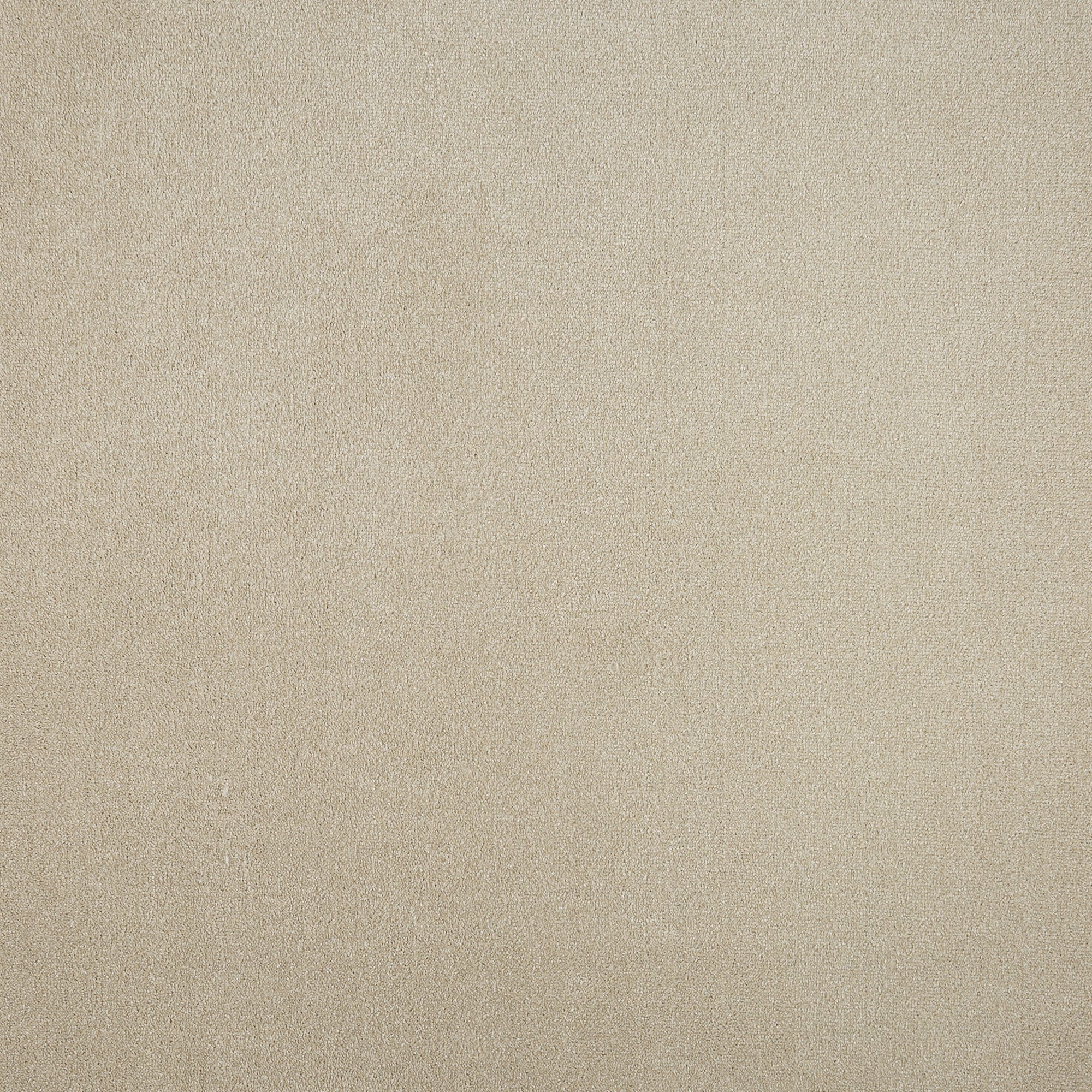 81967242 Ковровое покрытие ворсистое «Парадиз 590» ворсовое 3 м цвет пломбир Santreyd 