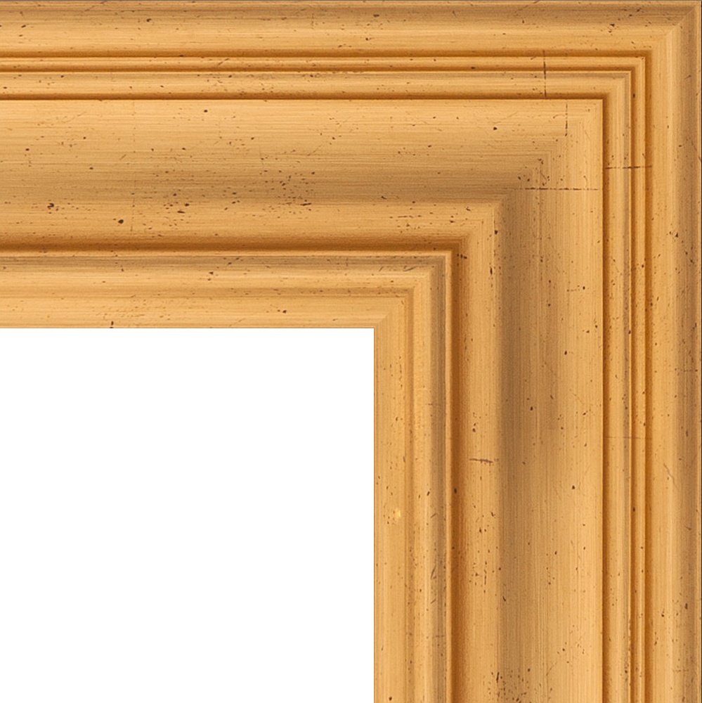 BY 3470 Зеркало с фацетом в багетной раме - травленое золото 99 mm EVOFORM Exclusive - Вид №5