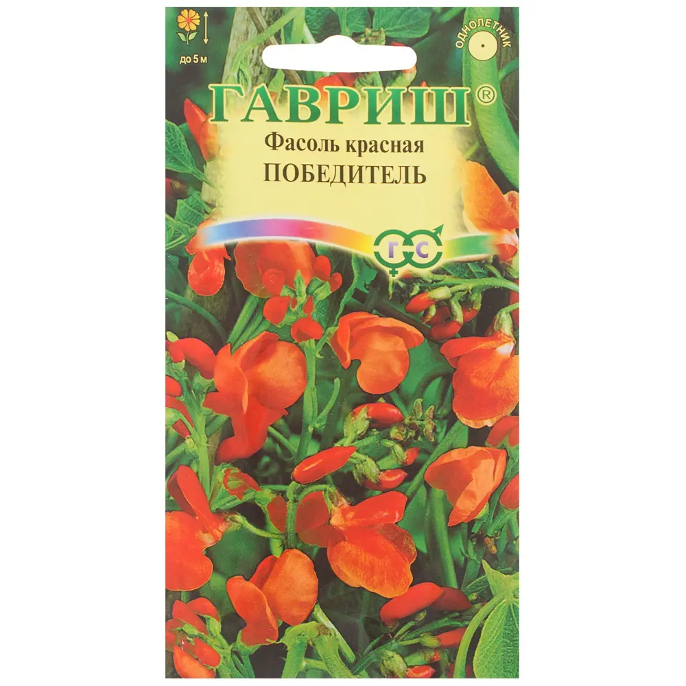 ГАВРИШ Декоративная фасоль «Победитель» для вертикального озеленения 81933422 STLM-0962384