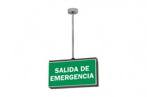 DST-929 Lisu suspended Daisalux Светильники аварийные Металлический Серый