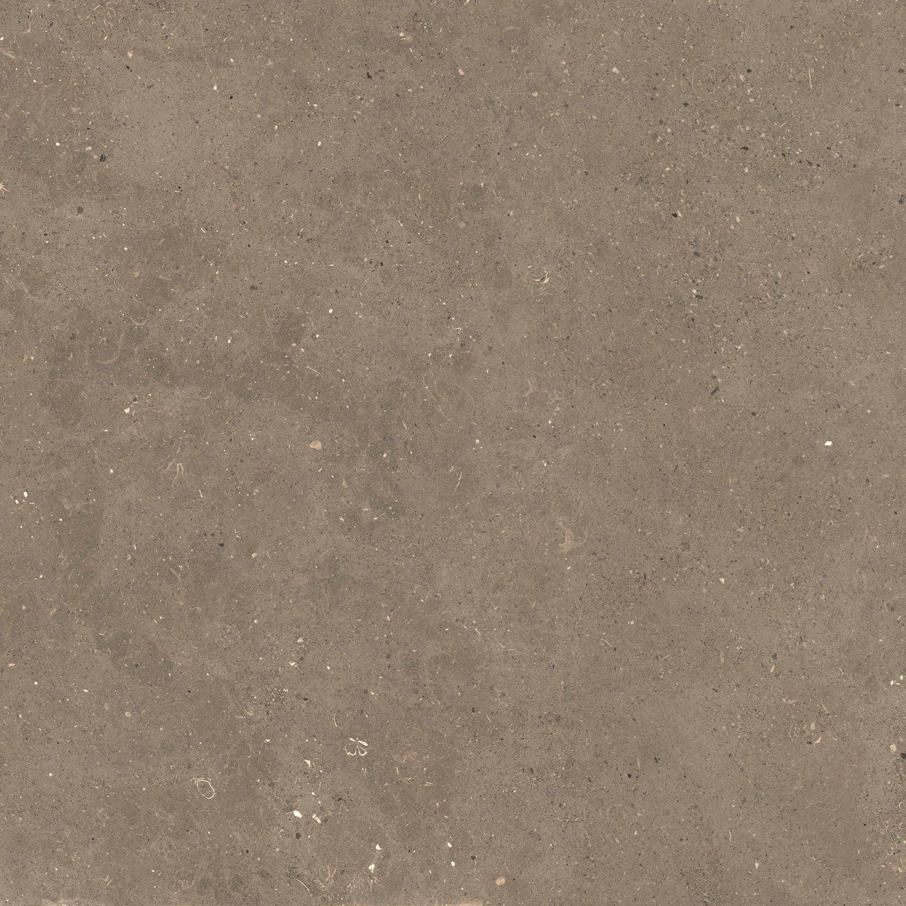 Пол / облицовка керамогранита с эффектом камня Fiandre сплошная ARCH-00006905 - Вид №9