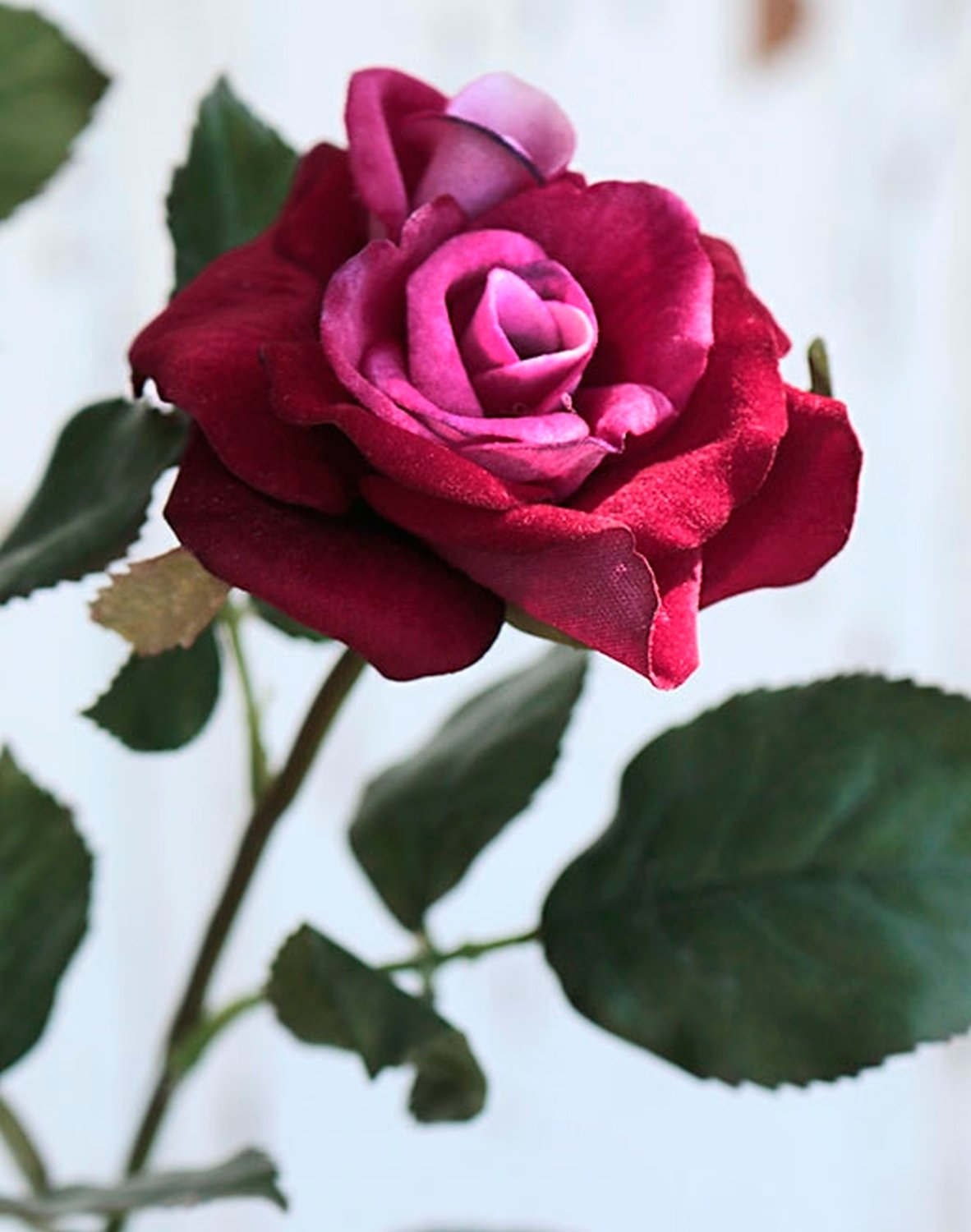 4528 449 a3 Искусственная роза, бархат, 2 цветка, 1 бутон, 70 см, бордовый H-andreas  - Вид №1