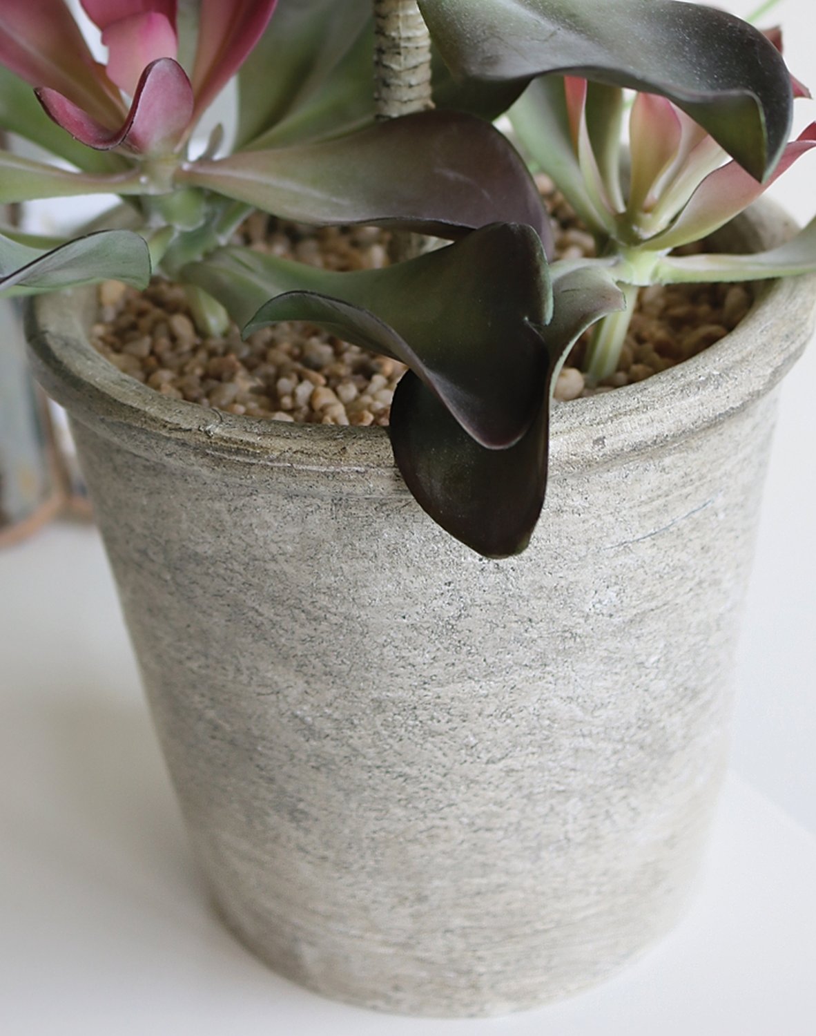 6047 849 a3 Искусственный суккулент, горшок, 38 см, зелено-бордовый H-andreas 