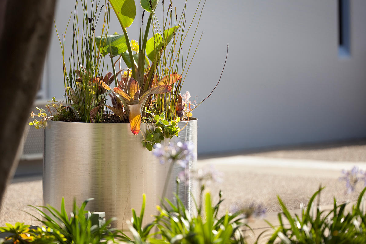 FSRT215 Универсальная сеялка  Forms-surfaces 