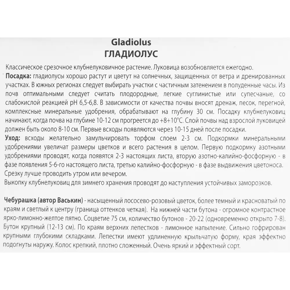 Гладиолус Чебурашка, 3 шт 86410002 STLM-2119259 ПОИСК  - Вид №2