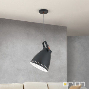 Orion HL 6-1689/1 schwarz Thenke подвесной светильник