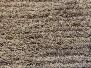 Woodnotes Коврик с длинным ворсом