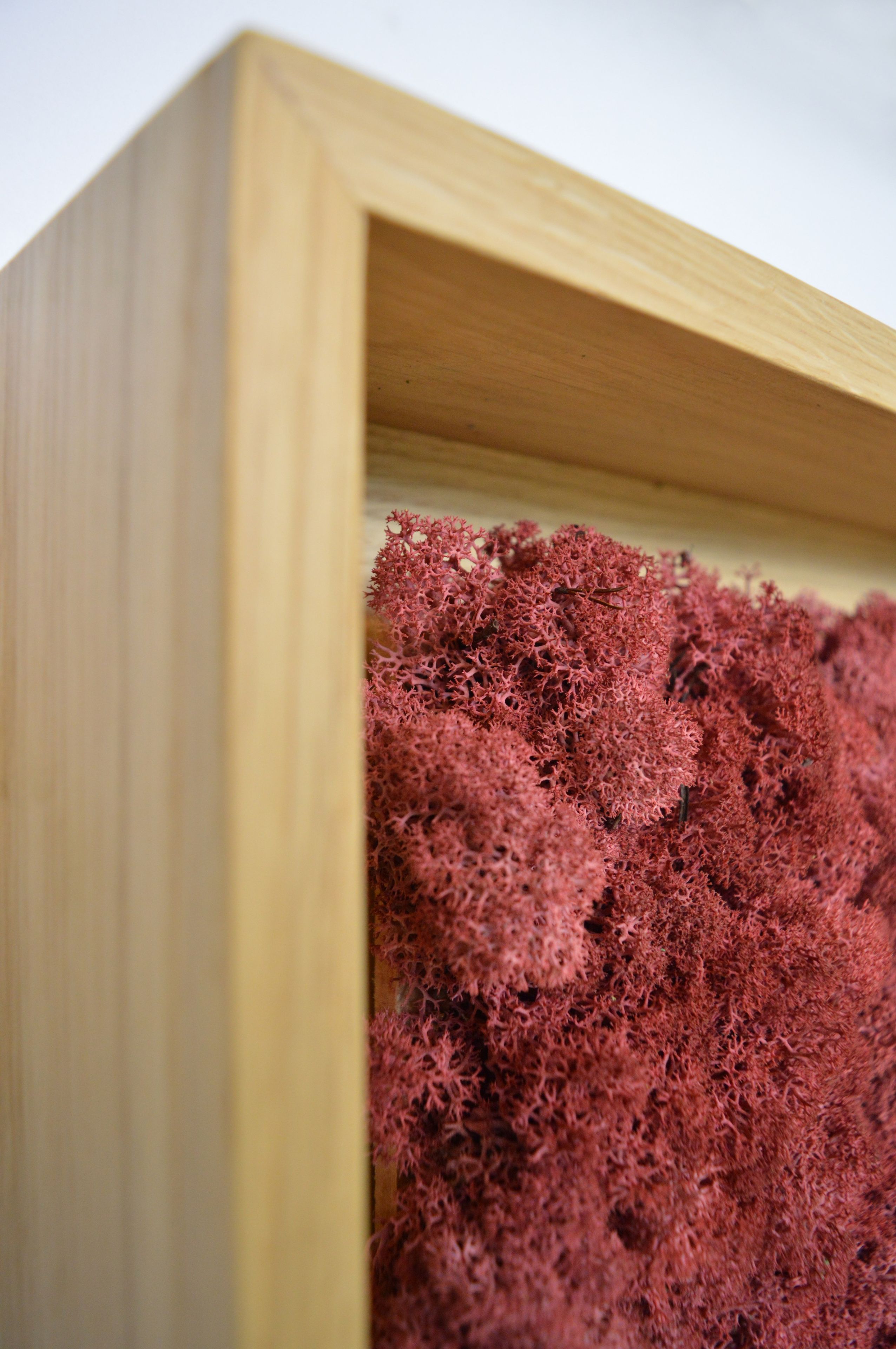 Акустическая панель из мха GREENMOOD FRAMED HARMONY ARCH-00128753 - Вид №16