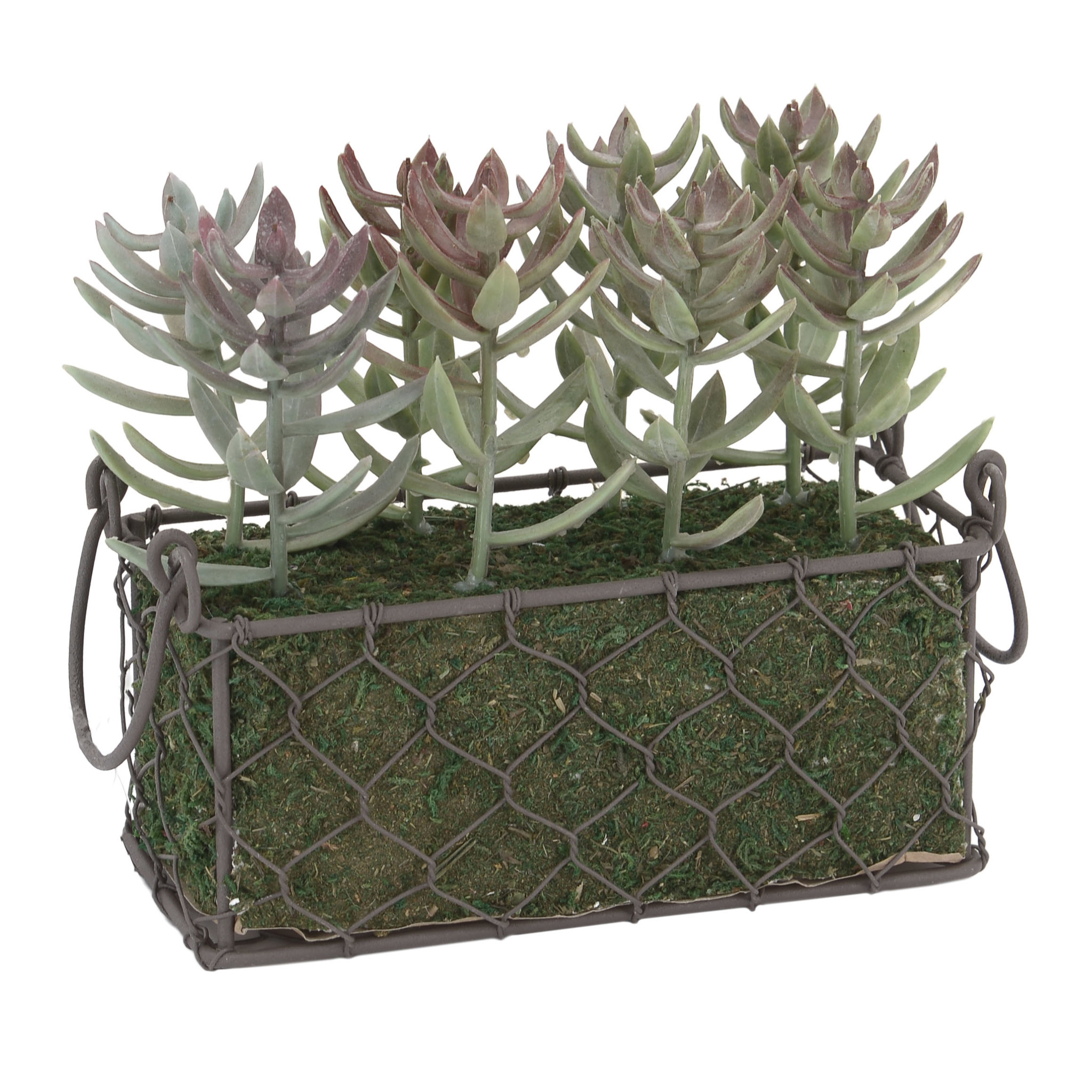 3885475.0157 цветочная композиция TO4ROOMS  - Вид №1