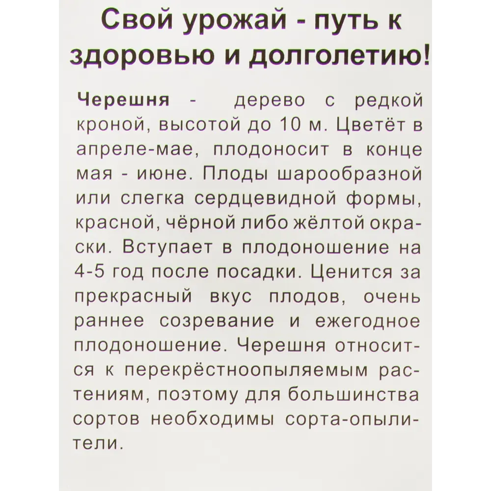 Черешня Подарок Степанову в тубе Поиск Инвест 82529082 STLM-2189527 Santreyd  - Вид №1