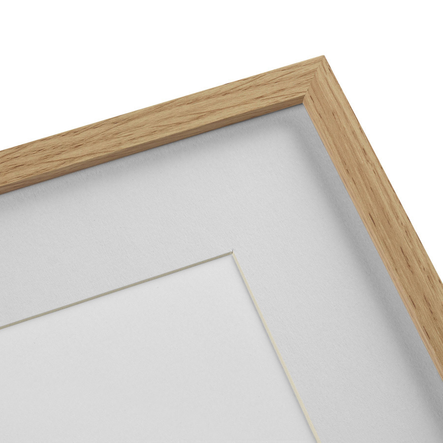 Картина в раме 52х42 см Assorted Beetles №3, 1735г. КАРТИНЫ В КВАРТИРУ  264418 Бежевый;коричневый;разноцветный  - Вид №3