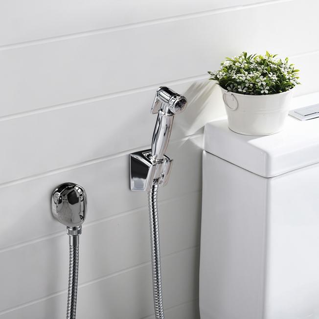 53CR174KIT ARIA комплект гиг. душа с выводом для воды и шлангом, хром Paini  - Вид №1