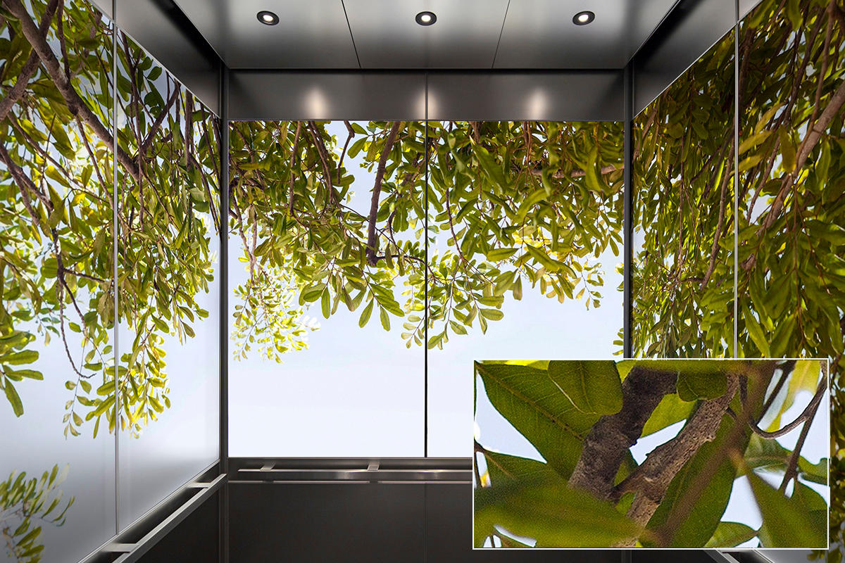 FSRT372 Зум-стекло Vivispectra с прослойкой из красного агата Forms-surfaces  - Вид №17