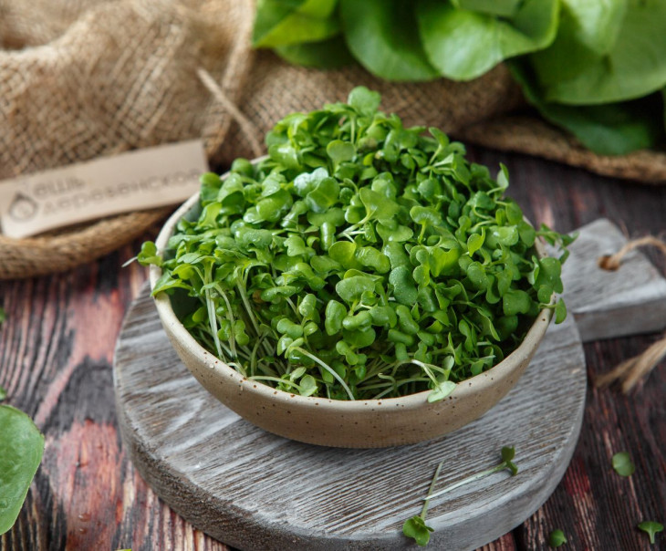 4921 Микрозелень кейла Вкусляндия  - Вид №1