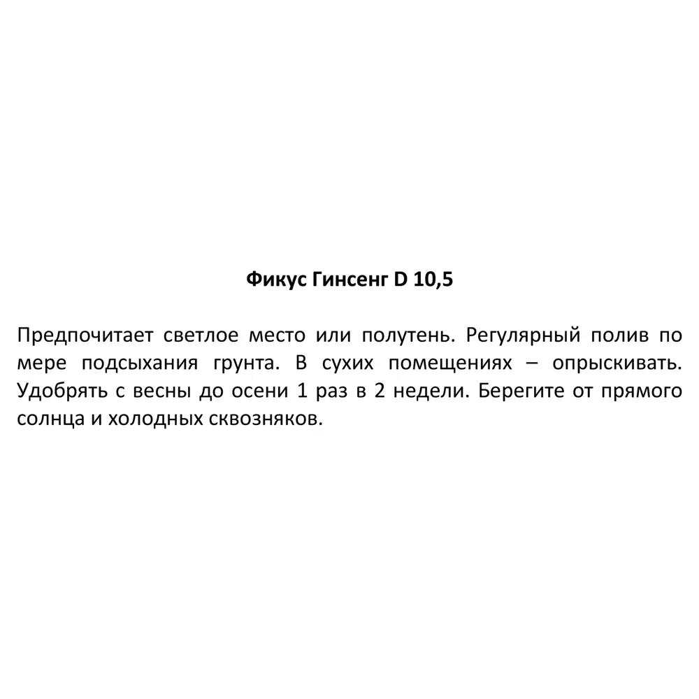 Фикус Гинсенг ø10.5 h15 см 85394470 STLM-2106958 Santreyd  - Вид №3