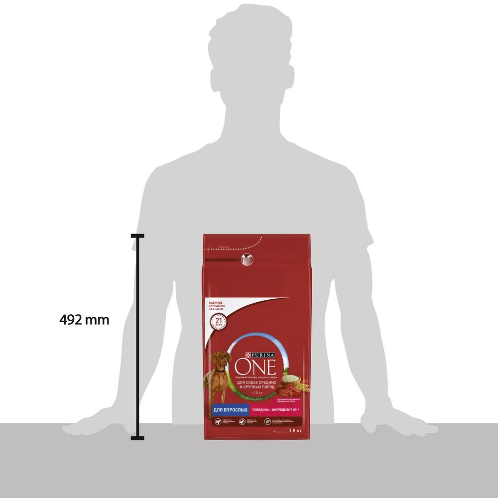 ПР0059690 Корм для собак для средних и крупных пород, говядина, рис сух. 3,8кг ONE  - Вид №7