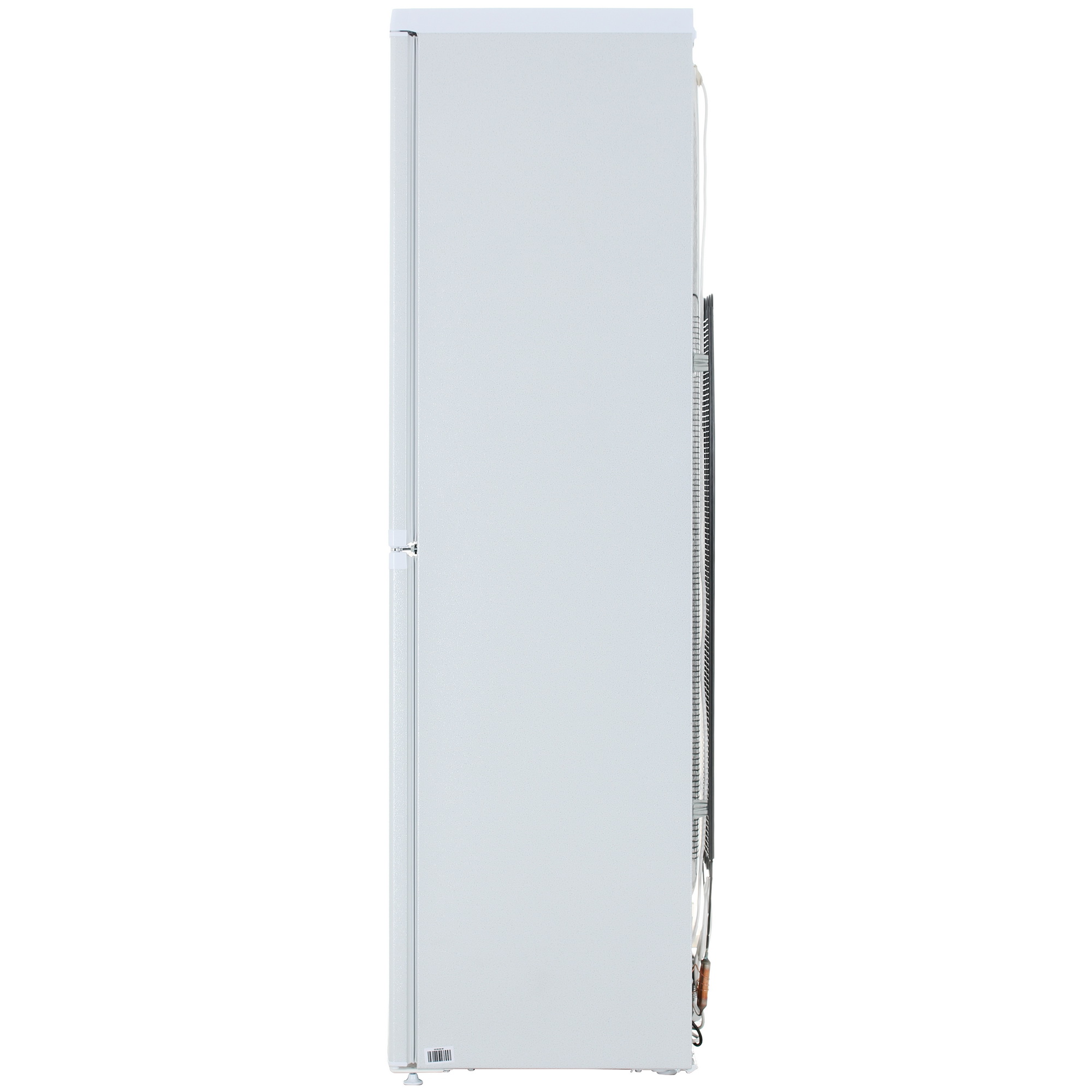 1393750 Холодильник с морозильником   DON R-296 K белый STDN-0150655 - Вид №3